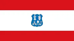 Flag of Asunción