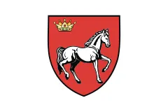 Flag of Iași County