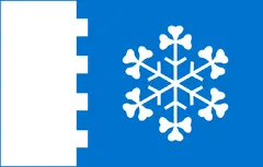 Флаг: Йыгева