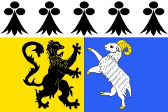 Флаг: Финистер