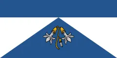 Flag of Ādaži Municipality