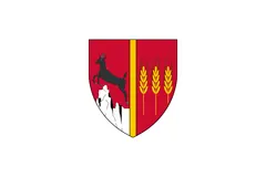 Flag of Neamț County