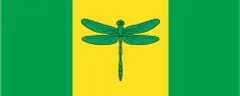 Flagge von Log-Dragomer