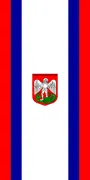 Flagge von Radlje ob Dravi