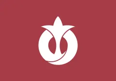 Флаг: Айти