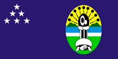Flagge von Central