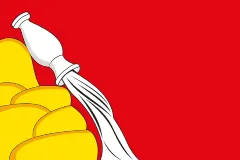 Флаг: Воронежская область