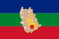 Флаг: Амасонас