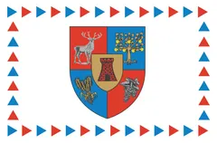 Flag of Satu Mare County