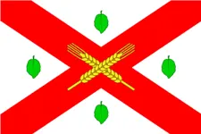 Flagge von Rajon Dondușeni