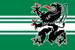 Флаг: Восточная Фландрия