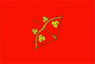Flagge von Rajon Hîncești