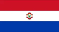 Flag of Paraguay (1990–2013)