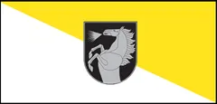 علم Radviliškis District Municipality