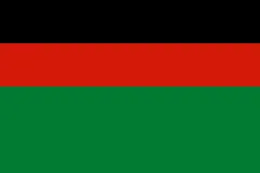 Флаг: Афганистан (1978–1978)