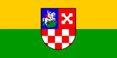 Флаг: Беловарско-Билогорская жупания