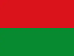 Флаг: Араука