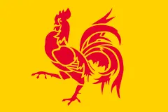 Флаг: Валлония