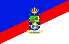 Flag of Concepción Department