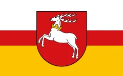 Флаг: Люблинское воеводство