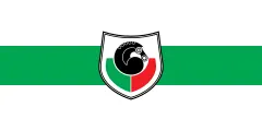 Flagge von Gemeinde Grosuplje