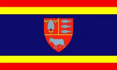 Flag of Vaslui County