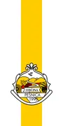 Flagge von Pesnica